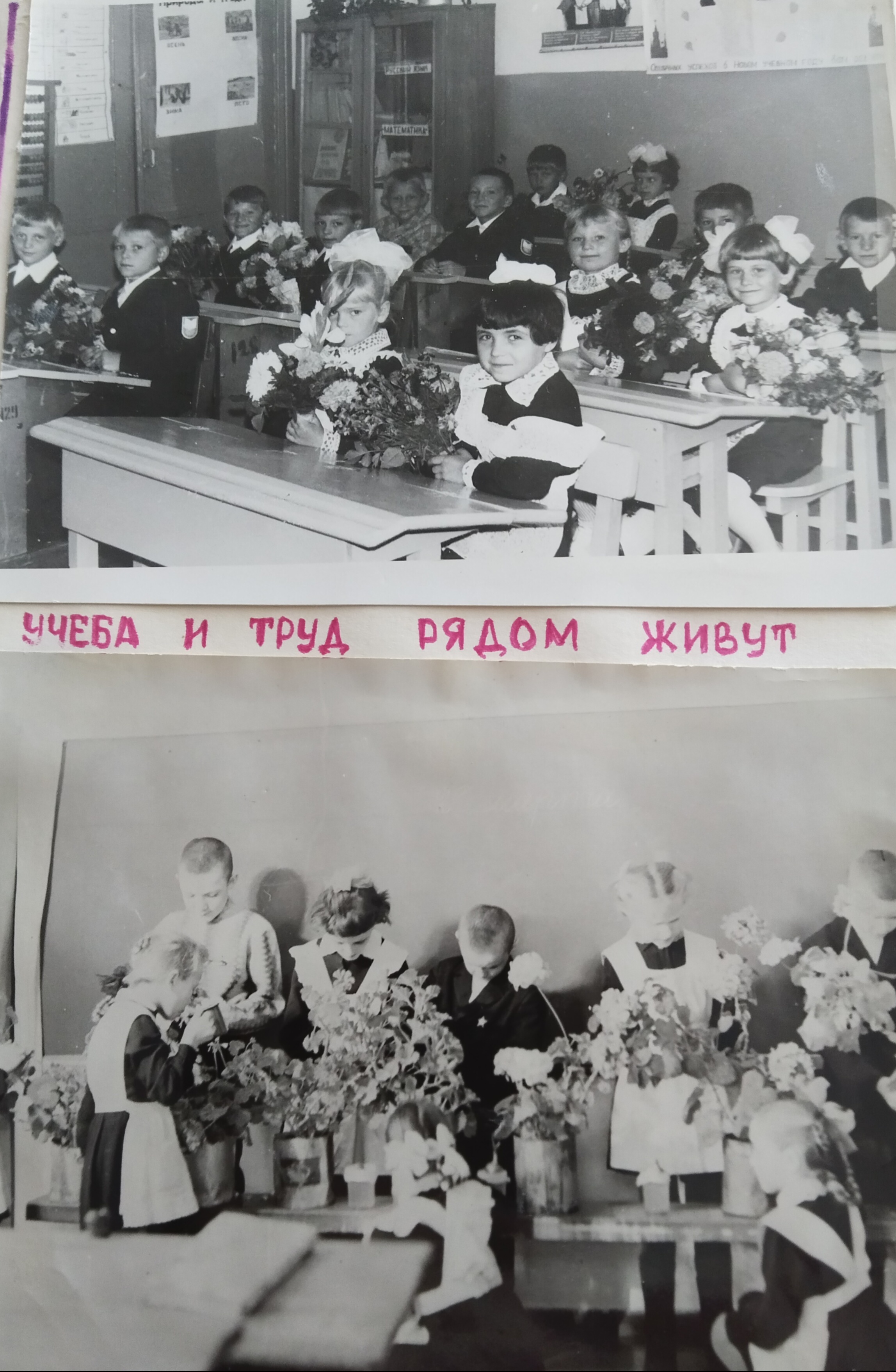 1971 год.